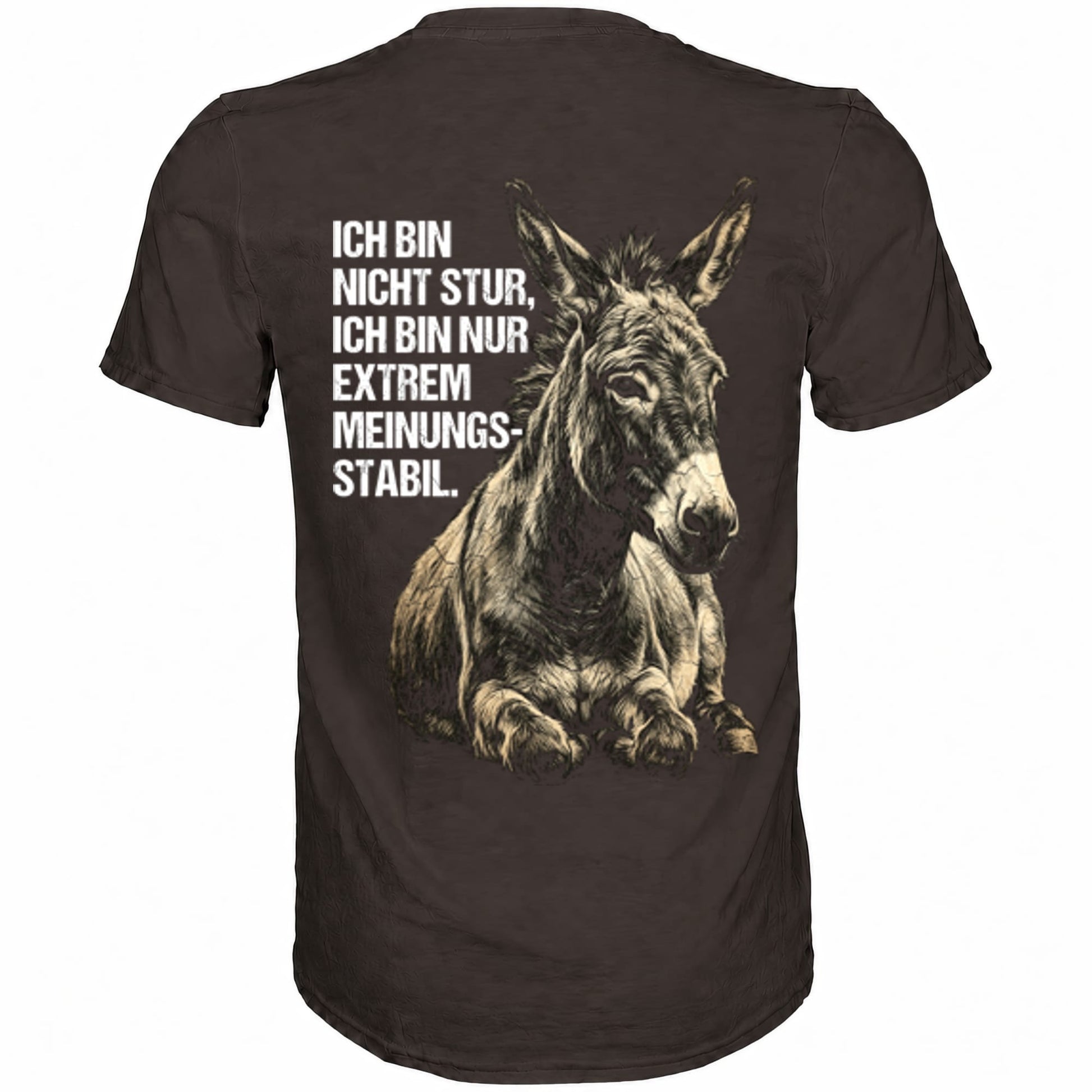 Braunes T-Shirt mit sarkastischem Spruch Ich bin nicht stur, nur extrem Meinungsstabil Rückansicht