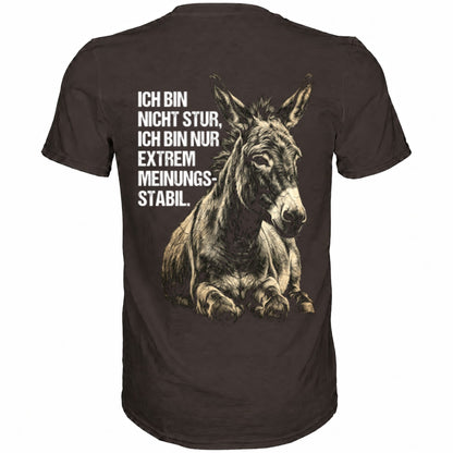 Braunes T-Shirt mit sarkastischem Spruch Ich bin nicht stur, nur extrem Meinungsstabil Rückansicht